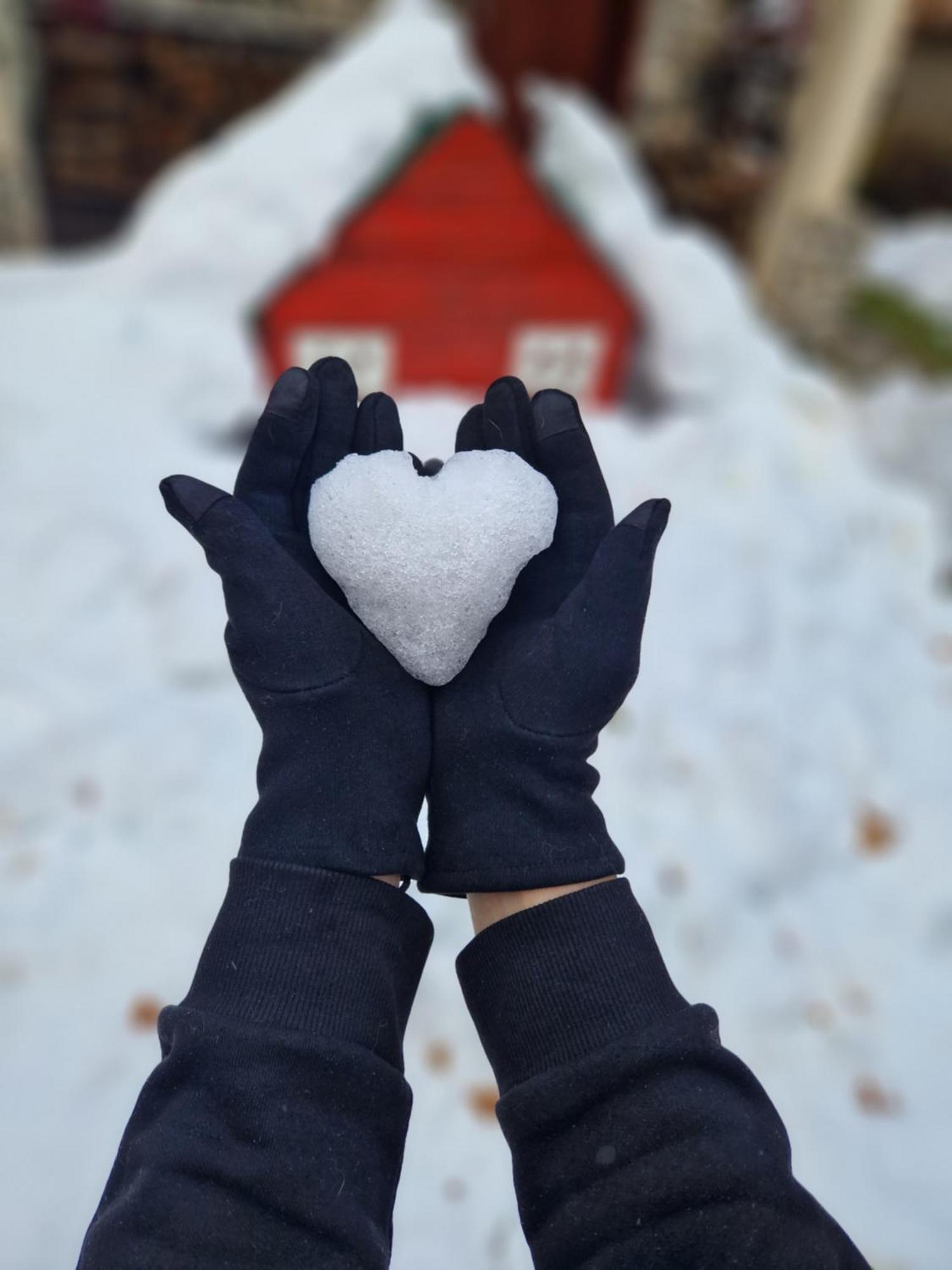 Chalet Mila Mavrovo-Nationalpark